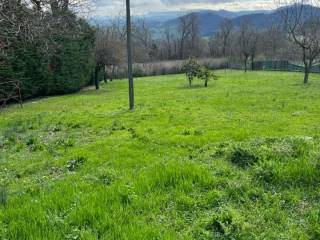 terreno e giardino 