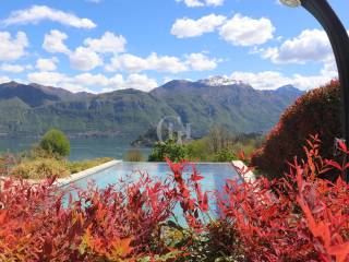 Foto - Vendita villa con giardino, Griante, Lago di Como