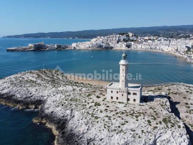 faro vieste