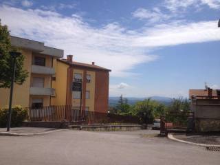 Zona