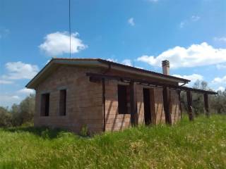 annesso agricolo vende vetralla