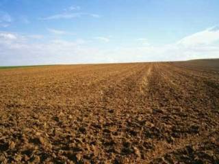 terreno agricolo vende vetralla