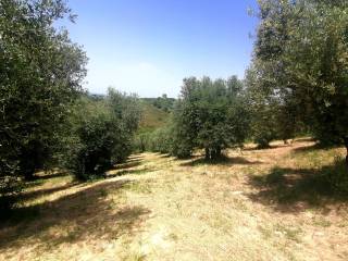 terreno