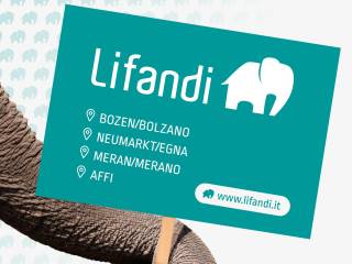 4644 23 lifandi slides onlineportale19