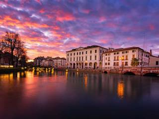 Treviso