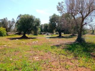 trullo