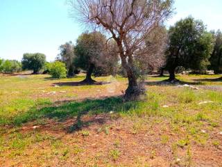 trullo