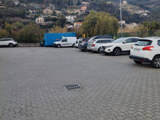 Zona
