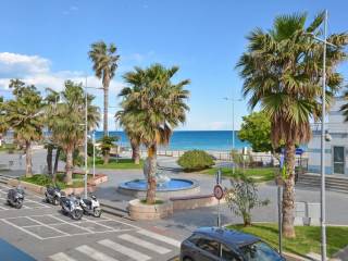 Zona