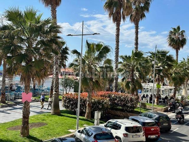 Zona