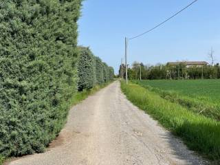 terreno agricolo