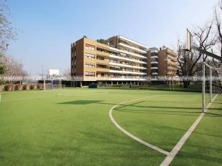 campo basket