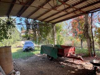 Stables shed