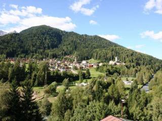 Appartamento con vista sul Castello di Ossana