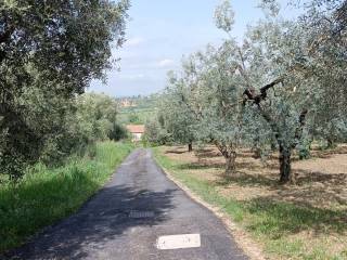 INGRESSO STRADA