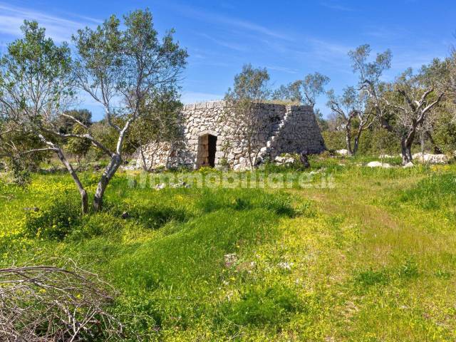 Terreno / Giardino