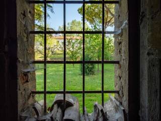 vista dalla finestra al piano terreno