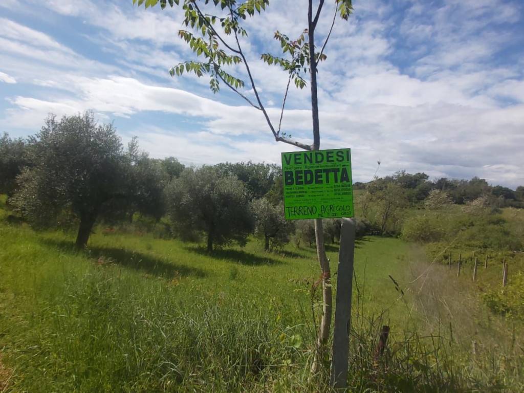 Terreno agricolo via acqualato, porto sant'elpidio