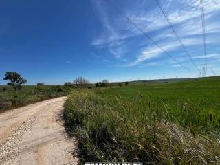 TERRENO AGRICOLO ALTAMURA