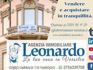 Leonardo imm