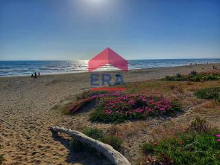 SPIAGGIA