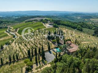 szd_Azienda vitivinicola e olearia con parco e pis