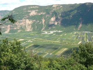 Vista