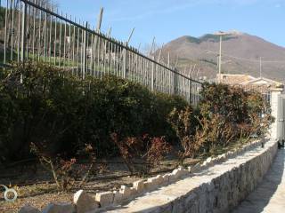 il giardino