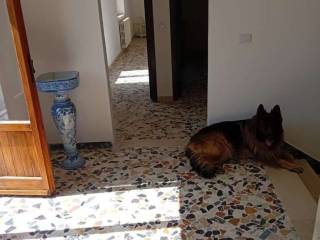 Interno appartamento