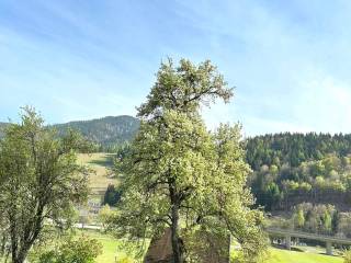 Vista