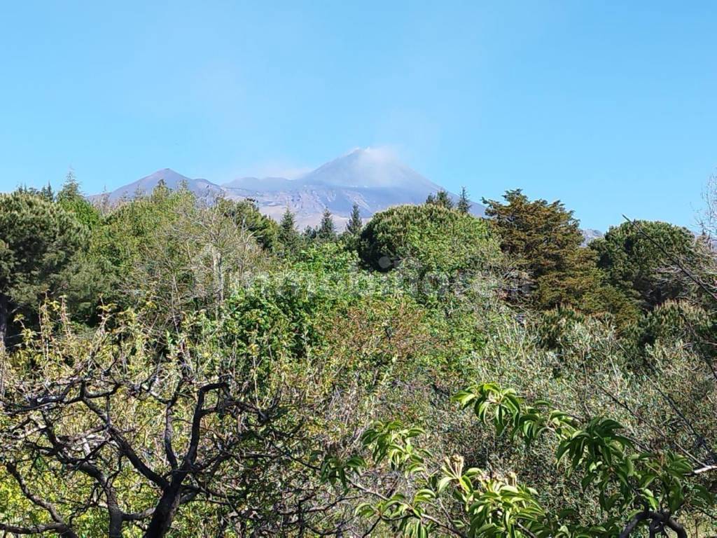 Terreno Agricolo Sp79 Trecastagni Rif 111428047 Immobiliare it Terreno Agricolo Sp79 Trecastagni Rif 111428047 Immobiliare it