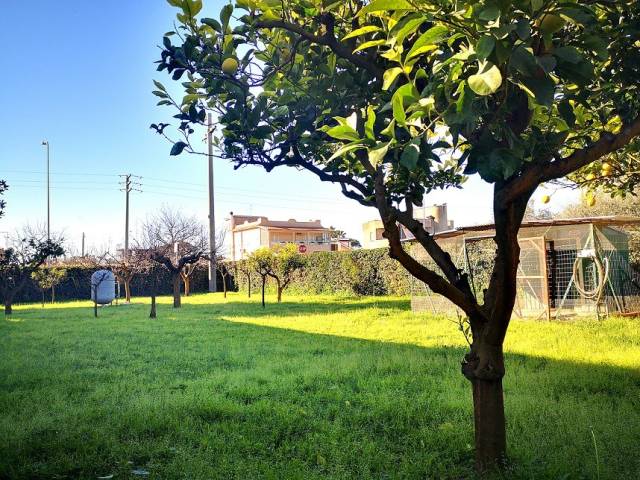 vista giardino