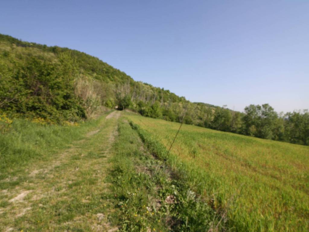 Terreno agricolo, farneto, san lazzaro di savena