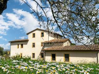 casale le bacche todi umbria 3.jpg