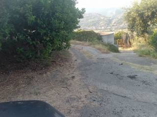 Zona