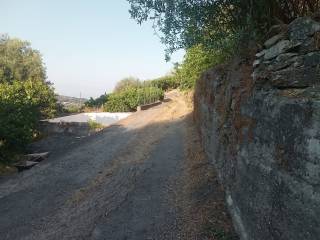Zona