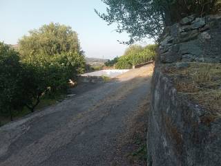 Zona