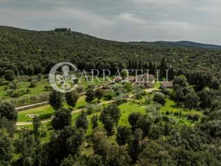 Tipico cosale con dépendance e oliveta nel Chianti