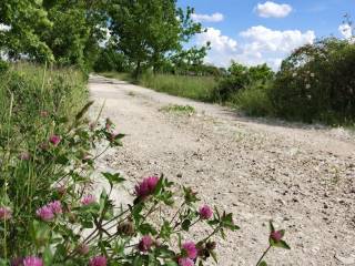 strada di accesso