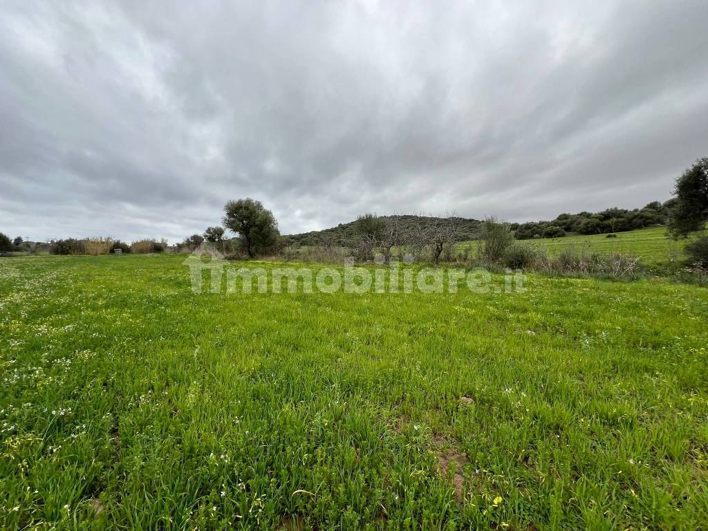 Terreno
