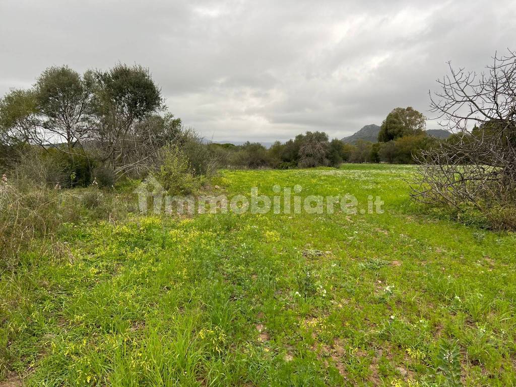 Terreno