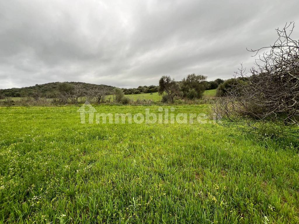 Terreno
