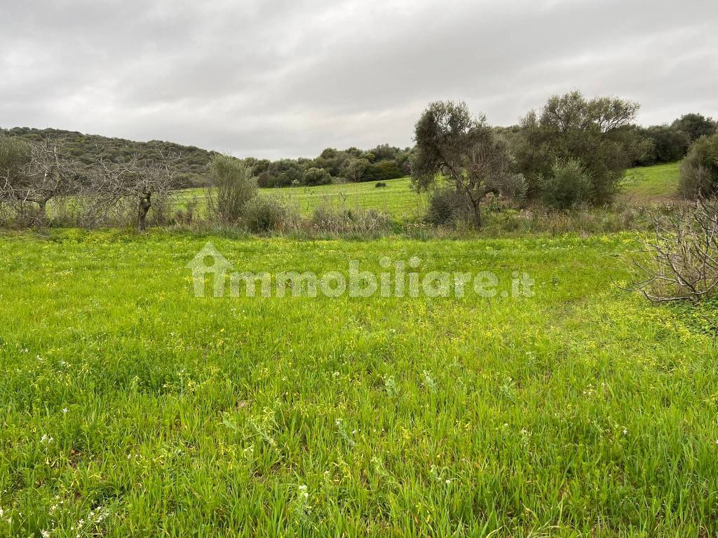 Terreno