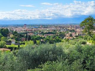 Foto - Vendita villa con giardino, Firenze, Chianti
