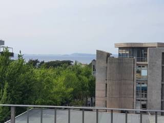 Vista