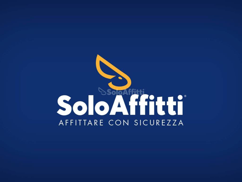 SOLOAFFITTI_Restyling_logo.jpg