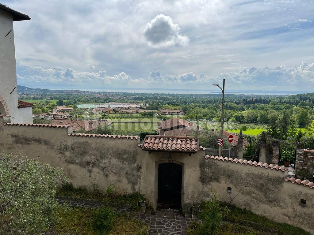 Vista