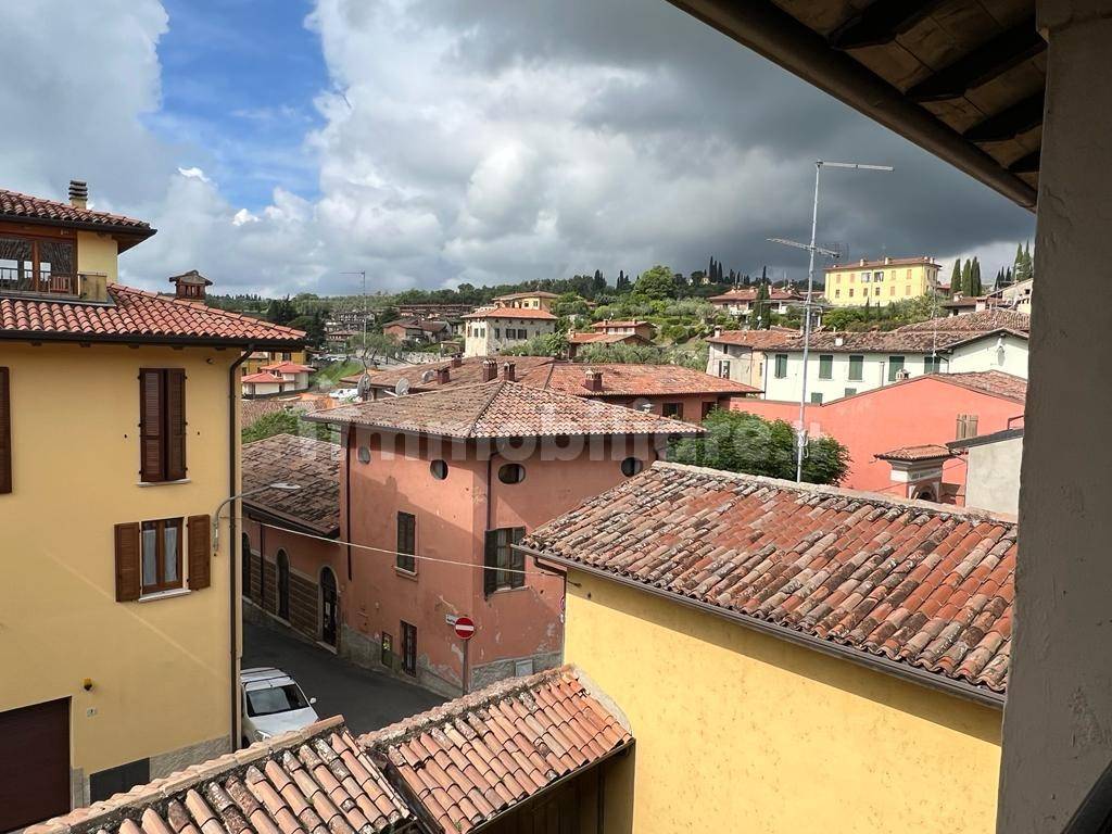 Vista