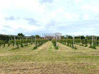 Terreno agricolo