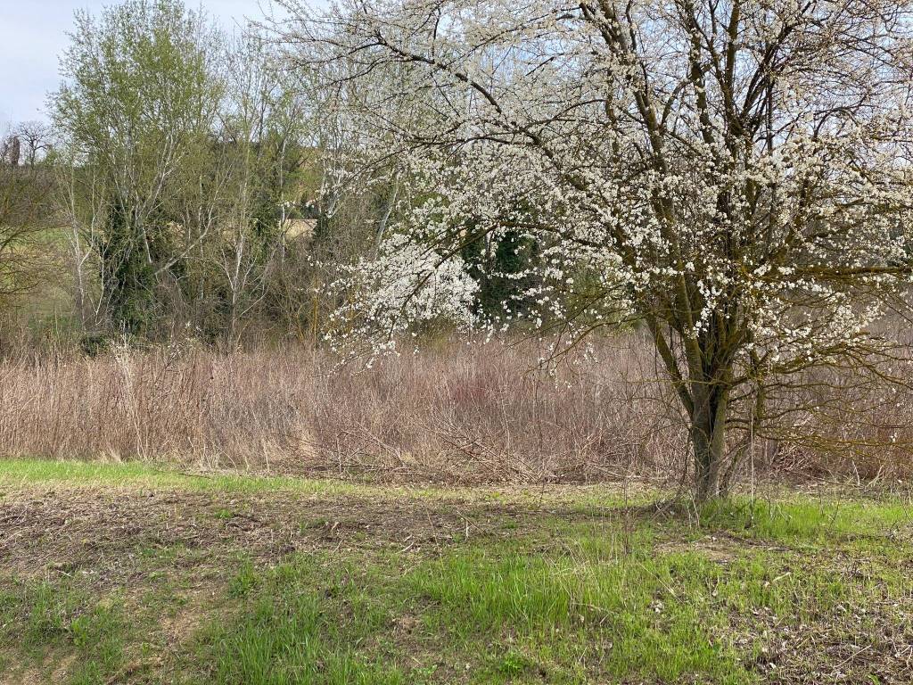 Terreno agricolo, tre monti, imola